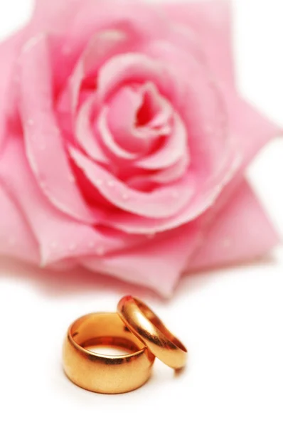 Два обручальных кольца и розовая роза на заднем плане — стоковое фото