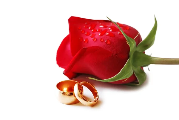 Twee Gouden trouwringen en een rode roos — Stockfoto