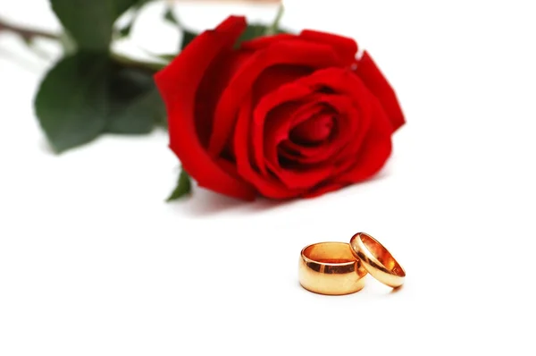 Anéis de casamento e rosa no fundo — Fotografia de Stock