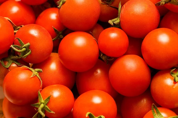 Röda tomater - kan användas som bakgrund — Stockfoto