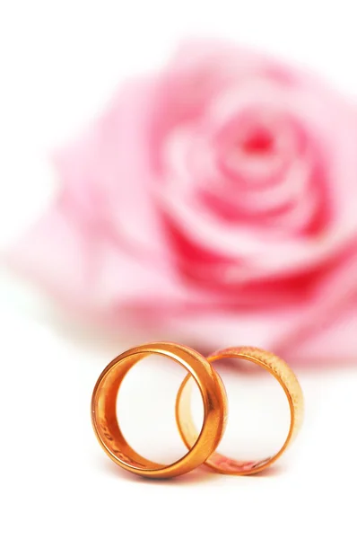 Dva snubní prsteny a růžové růže na pozadí — Stock fotografie