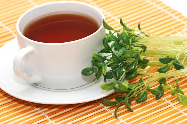 Xícara de chá preto e ervas no fundo — Fotografia de Stock
