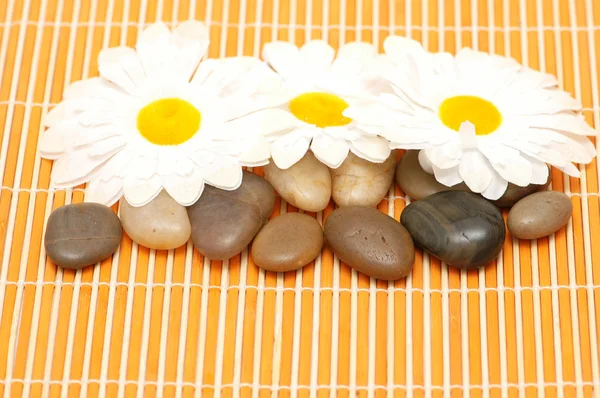Pebbles and flowers for the aromatherapy session — Stock Photo, Image