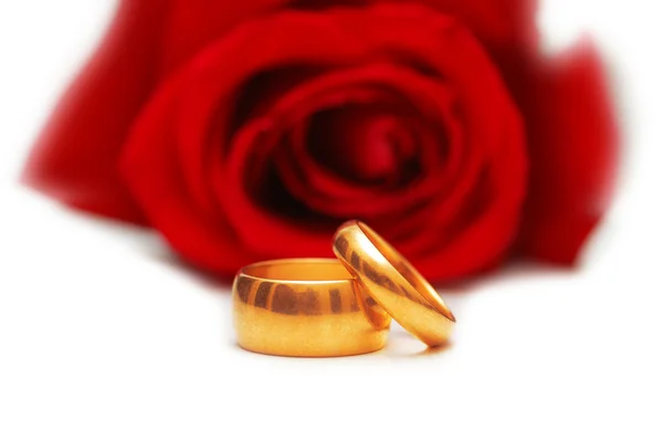 Dois anéis de casamento e rosa vermelha isolado no branco — Fotografia de Stock