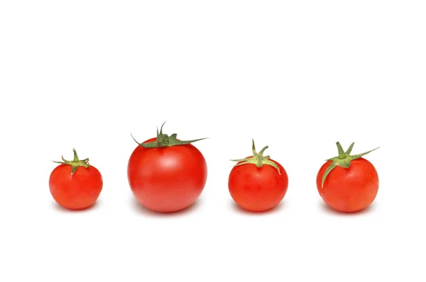 Destaque-se do conceito da multidão com tomates — Fotografia de Stock