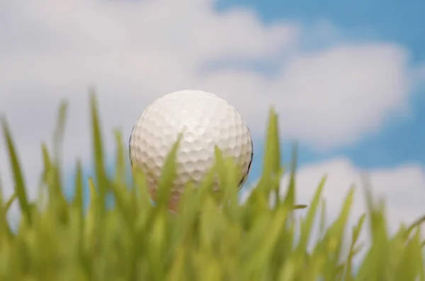 Golfboll och grönt gräs mot den blå himlen — Stockfoto