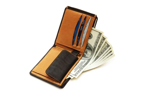 달러와 고립 된 신용 카드 지갑 — 스톡 사진