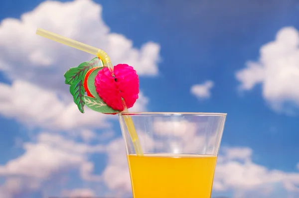 Orange juice with straw against cloudy sky — Stock Photo, Image