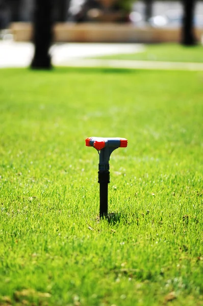 Water sprinkler on the green grass lawn — Stock Photo, Image