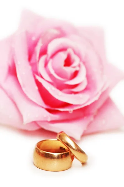 Dva snubní prsteny a rose na pozadí Stock Snímky