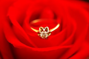 Wedding ring with diamond on red rose clipart