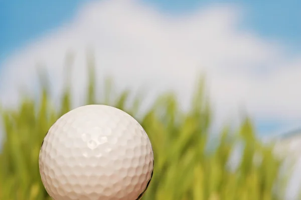Μπάλα του γκολφ και το πράσινο γρασίδι στο παρασκήνιο — Φωτογραφία Αρχείου