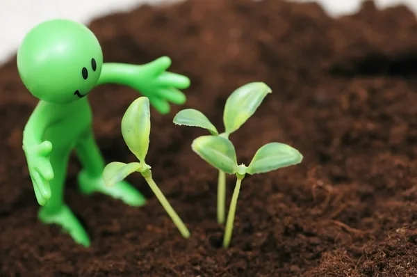 Gardening concept - Smilie looking after green seedlings — Stock Photo, Image