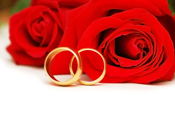 两个结婚戒指和孤立白底红玫瑰 — 图库照片