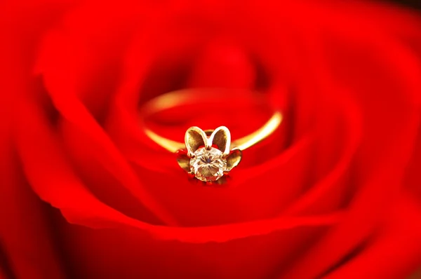 Wedding ring met diamant op rode rose — Stockfoto