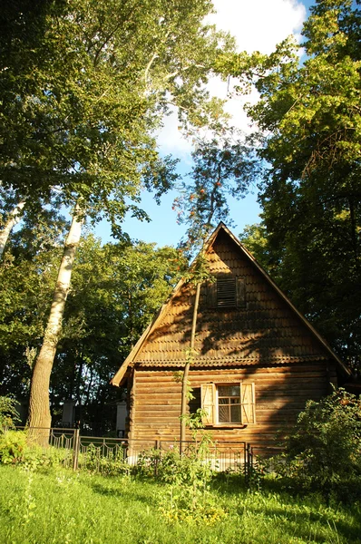 Casa de madera en el bosque en el verano —  Fotos de Stock