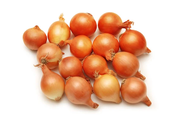 Viele Zwiebeln isoliert auf weißem Hintergrund — Stockfoto
