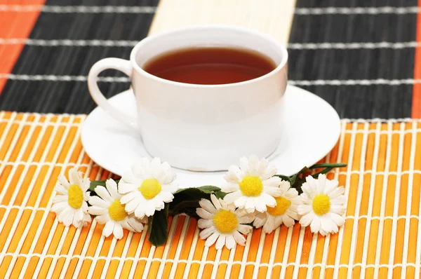 Cup of tea with herbs and daisies — Stock Photo, Image