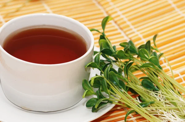 Cup of black tea and herbs on orange mat — Stok fotoğraf