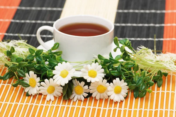 Xícara de chá com ervas e margaridas — Fotografia de Stock