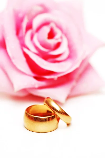 Dois anéis de casamento e rosa rosa no fundo — Fotografia de Stock