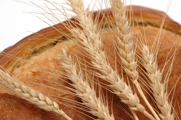 Pszenica uszy i bochenek chleba na białym tle — Zdjęcie stockowe