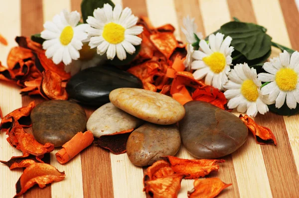 Kamienie, płatki i kwiaty dla sesji aromaterapii — Zdjęcie stockowe