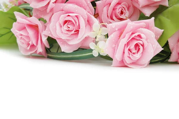 Růže na bílé - použijte copyspace pro váš text — Stock fotografie