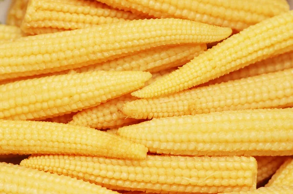 Mazorcas de maíz bebé dispuestos como fondo —  Fotos de Stock