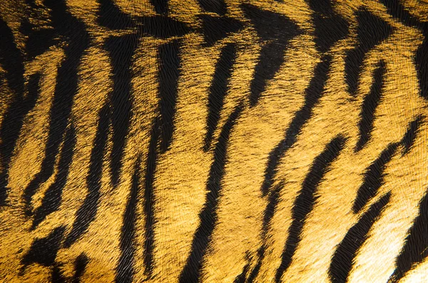 Imitación de cuero de tigre como fondo —  Fotos de Stock