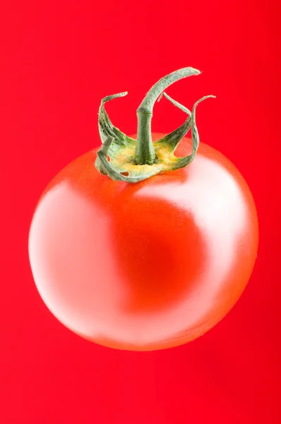 Červené rajče proti barevných přechodů — Stock fotografie