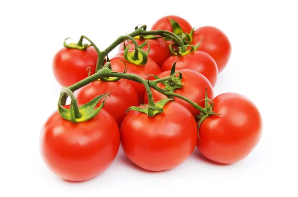 Tomates vermelhos isolados no fundo branco — Fotografia de Stock