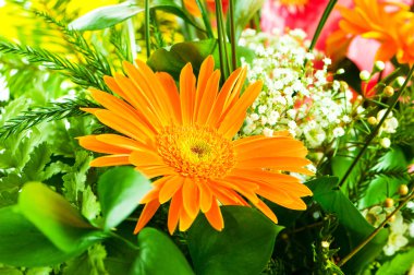 Gerbera flowers agaisnt green blurred background clipart