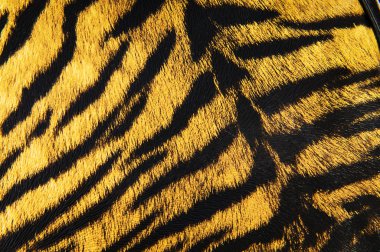 Imitation of tiger leather as a background clipart