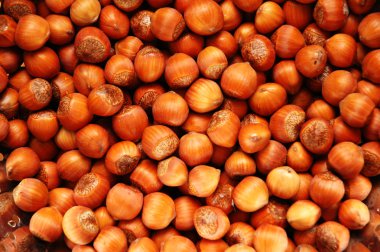 Hazelnuts arranges as a background clipart