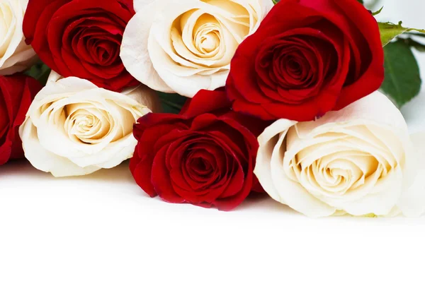 Röda och vita rosorna isolerad på vit — Stockfoto