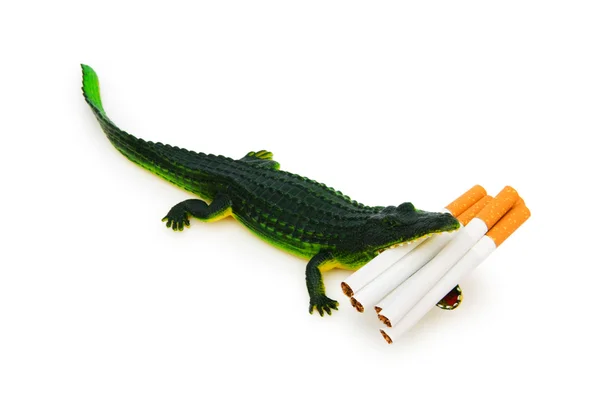 Крокодил с сигаретами, изолированными на белом — стоковое фото