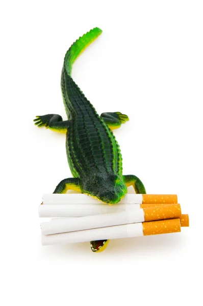 Crocodile with cigarettes isolated on white — Stock Photo, Image
