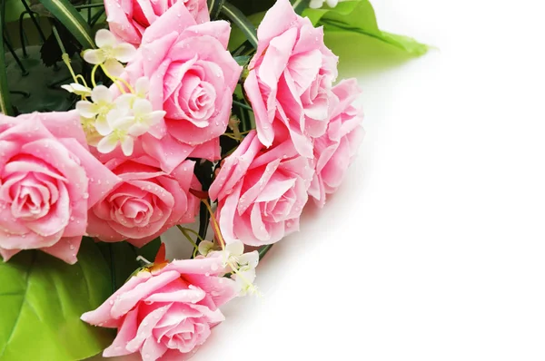Růže s kapkami vody - použijte copyspace pro váš text — Stock fotografie