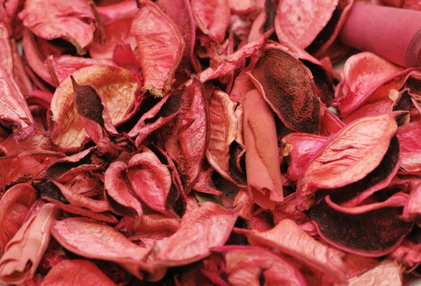 Fondo con hojas secas rosadas — Foto de Stock