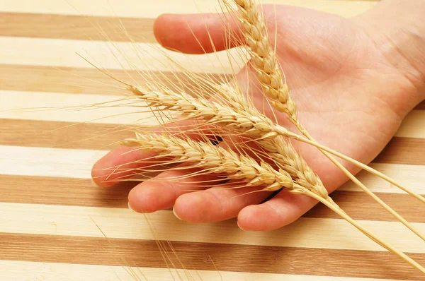 Ruka drží uši pšenice na dřevěném prkénku — Stock fotografie