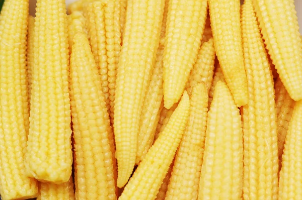 Детская кукуруза на заднем плане — стоковое фото