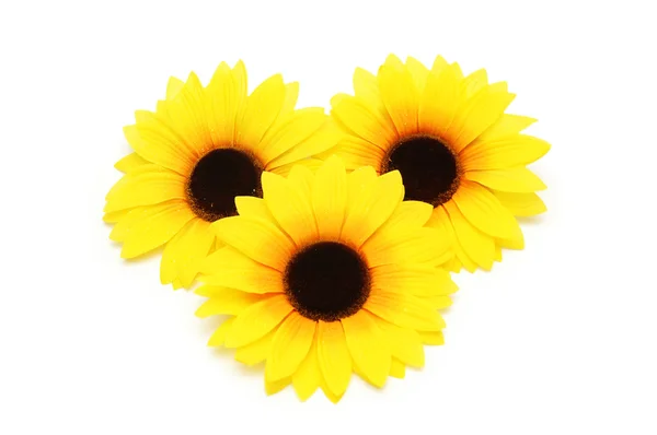 Drei Sonnenblumen isoliert auf weißem Hintergrund — Stockfoto