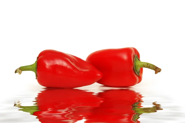 Dvě červené papriky izolovaných na bílém s odrazy ve vodě — Stock fotografie