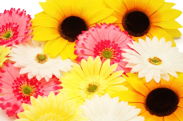 Various flowers (red, white, pink) arranged as background — Stock Photo, Image