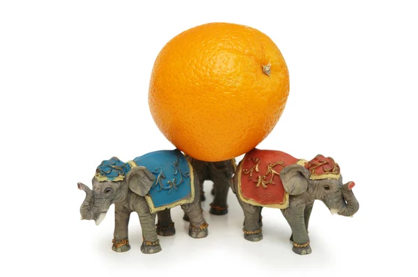 Tre elefanti che tengono arancio isolato su bianco — Foto Stock