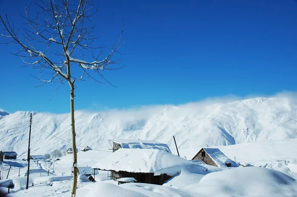 Δέντρο και τα σπίτια κάτω από χιόνι το χειμώνα - gudauri, γεωργία — Φωτογραφία Αρχείου