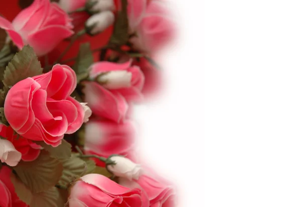 Background with roses - use copyspace for your text — Stock Photo, Image
