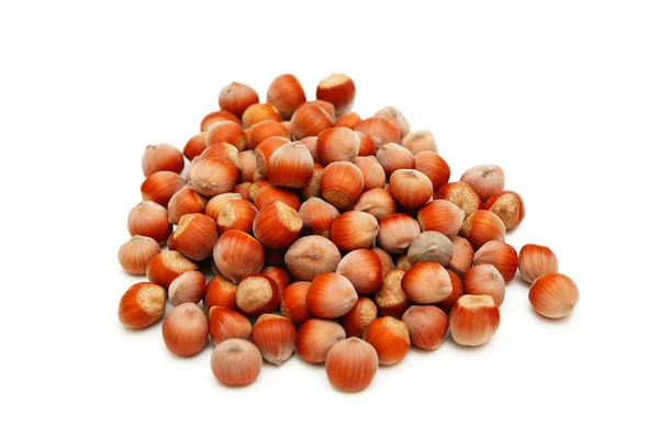 Selection of hazelnuts isolated on white — Stock Photo, Image