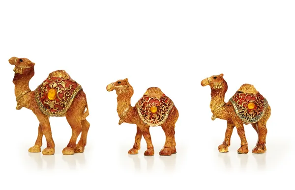 Carovana di cammelli isolati su bianco — Foto Stock
